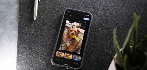 google photos perspective correction tool returns after