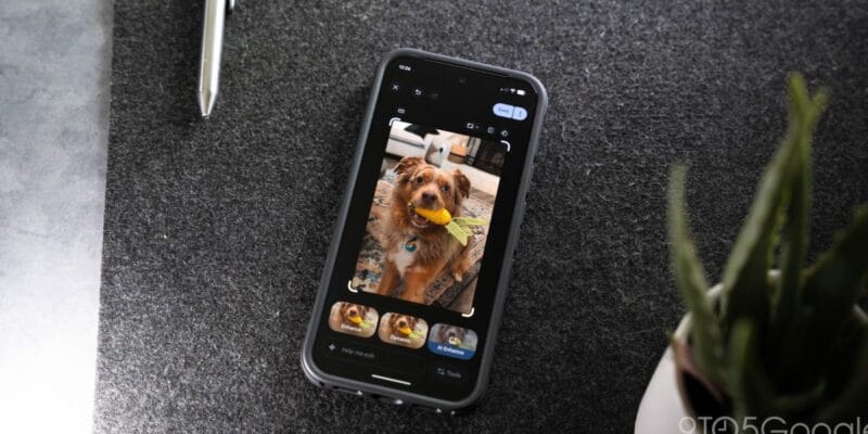 google photos perspective correction tool returns after