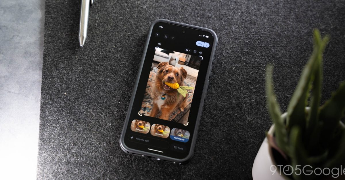 google photos perspective correction tool returns after