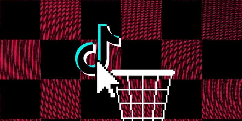 TikTok ban: all the news on the app’s shutdown and return in the US 9 tiktok ban all the news on the
