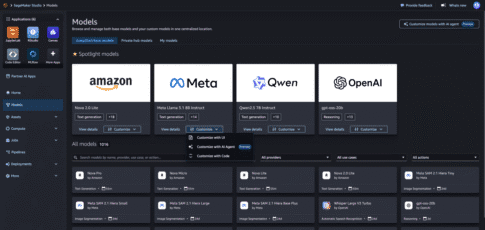Tech News 11 aws doubles down on custom llms with