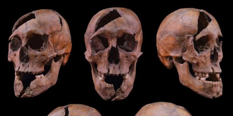 Research roundup: 6 cool stories we almost missed 20 research roundup 6 cool stories we almost