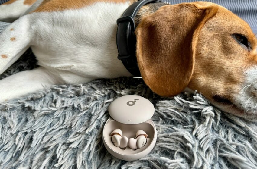 my favorite snore-blocking sleepbuds are down to