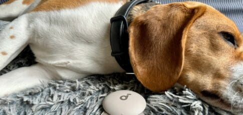 my favorite snore-blocking sleepbuds are down to