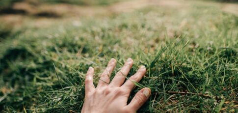 Tech News 8 naware s chemical-free weed killer tech could