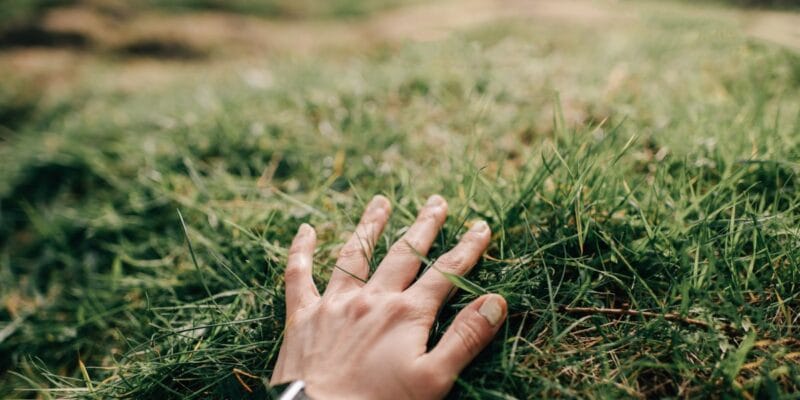 Naware’s chemical-free weed killer tech could change how we treat lawns 2 naware s chemical-free weed killer tech could