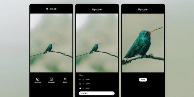 VSCO AI Lab can now upscale images up to 4 times 11 vsco ai lab can now upscale images