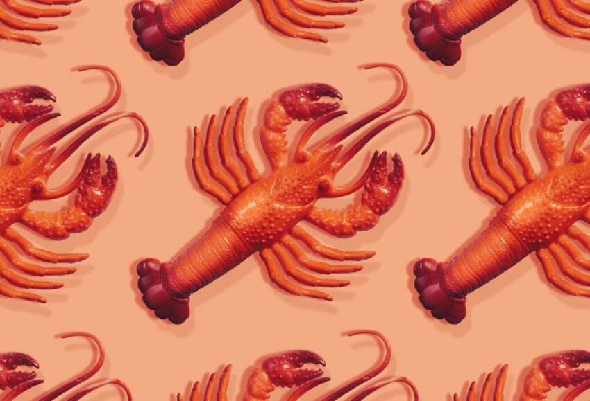 everything you need to know about viral