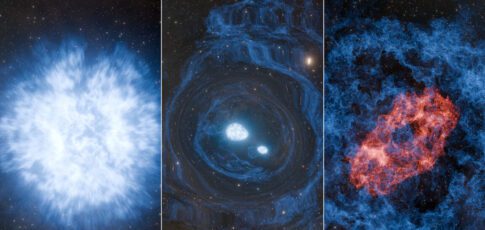 Tech News 4 research roundup 7 cool science stories we