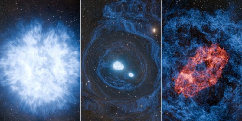 Research roundup: 7 cool science stories we almost missed 4 research roundup 7 cool science stories we