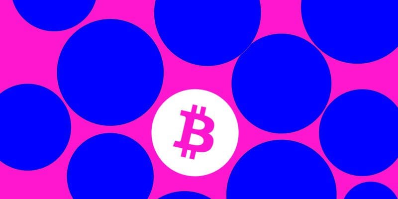 billion-dollar bitcoin hacker ilya lichtenstein thanks trump
