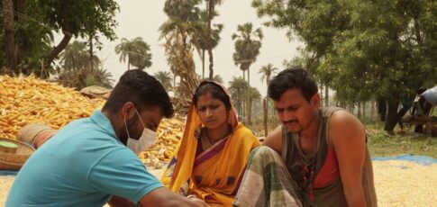 Tech News 11 even as global crop prices fall india