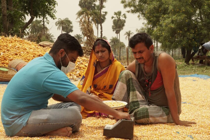 even as global crop prices fall india