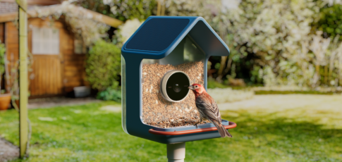 Tech News 6 birdbuddy s new smart feeders aim to