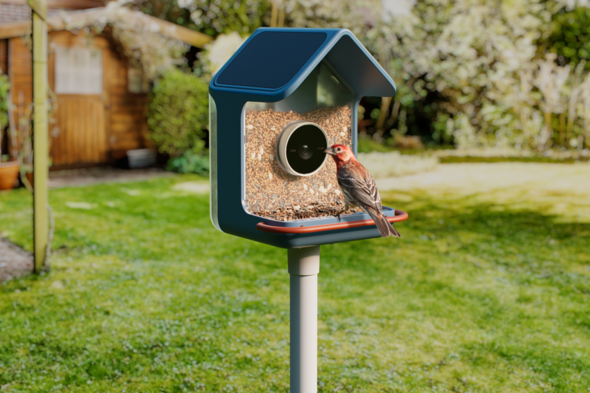birdbuddy s new smart feeders aim to