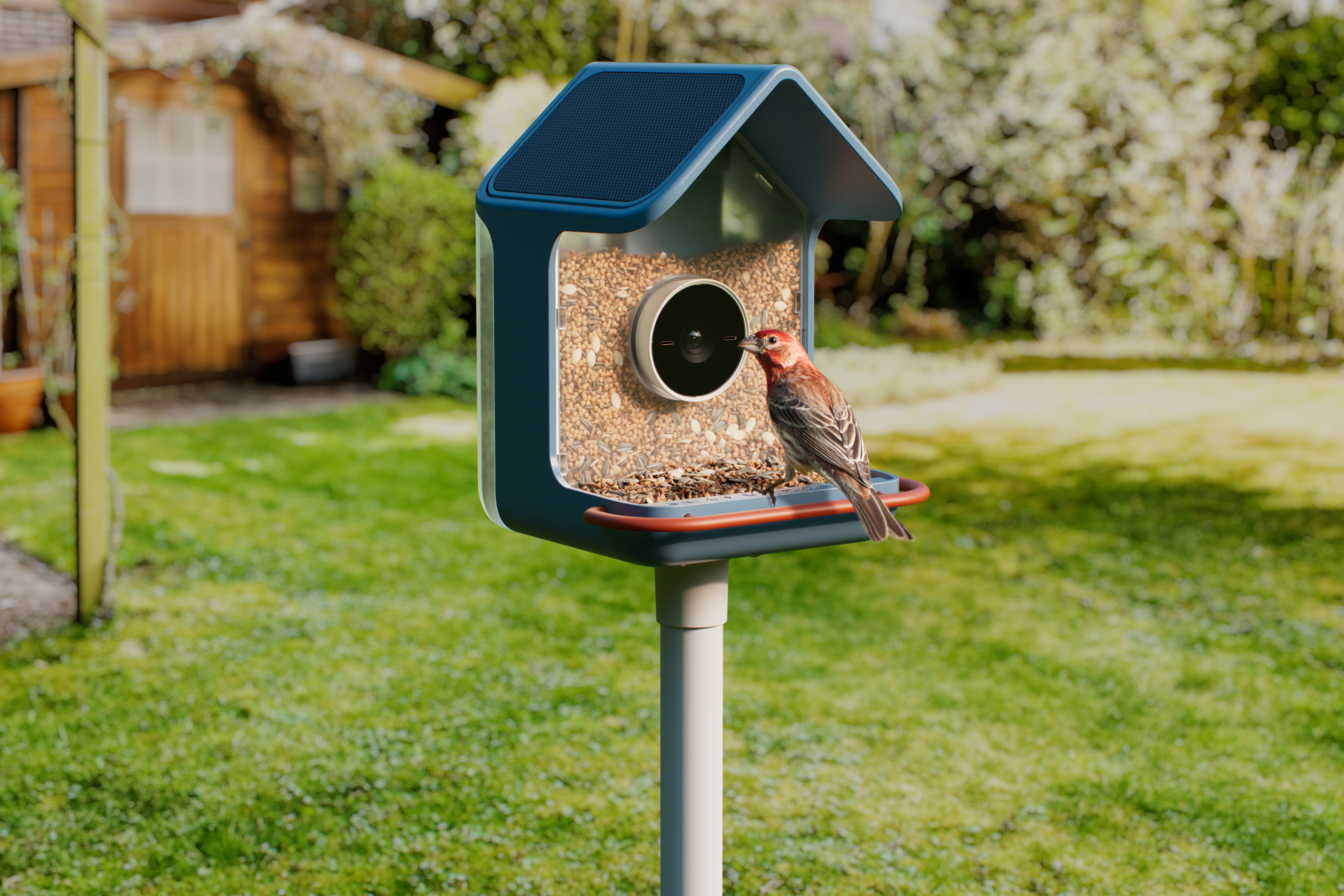 birdbuddy s new smart feeders aim to