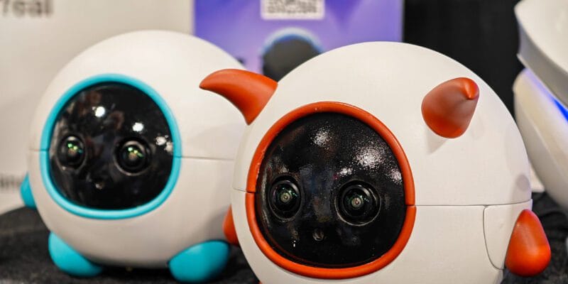 This robot companion is a cameraman for your pet 4 this robot companion is a cameraman for