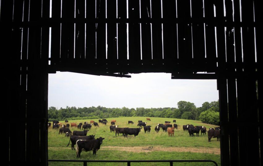 data center builders thought farmers would willingly