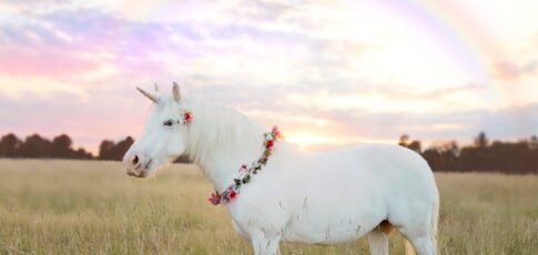 Tech News 8 meet the new european unicorns of 2026