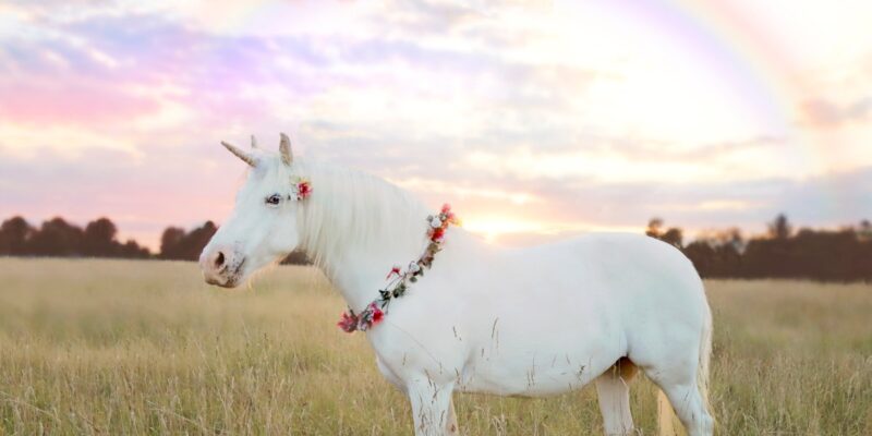Meet the new European unicorns of 2026 9 meet the new european unicorns of 2026