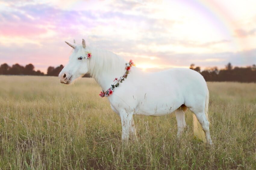 Tech News 9 meet the new european unicorns of 2026