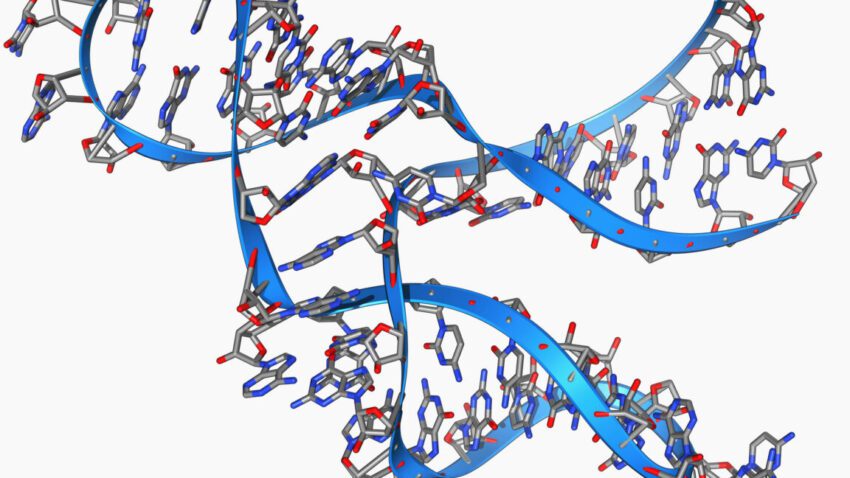 tiny 45 base long rna can make