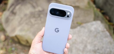 google pixel cases are 5 in wild
