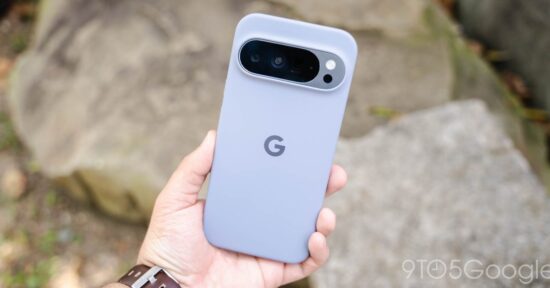 google pixel cases are 5 in wild