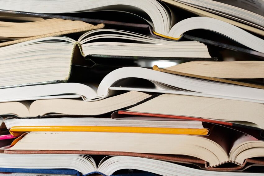 publisher pulls horror novel shy girl over