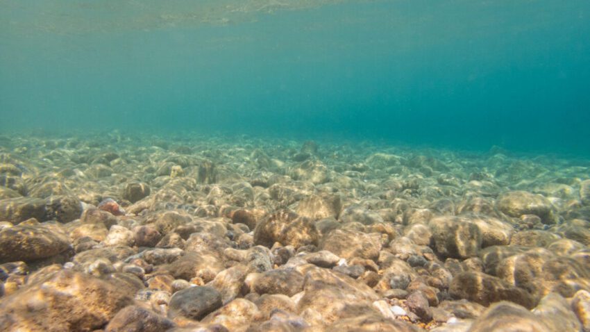 mining the deep ocean