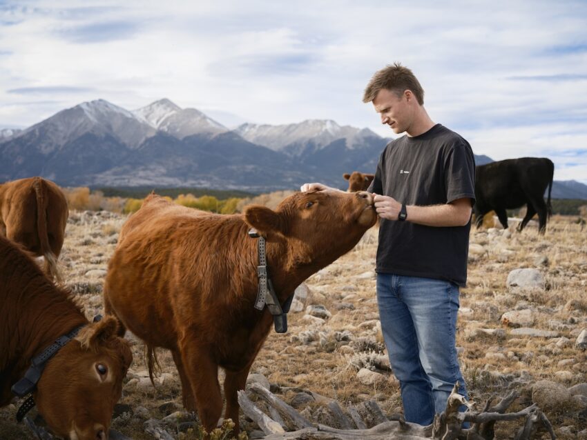 Tech News 3 peter thiel s big bet on solar-powered