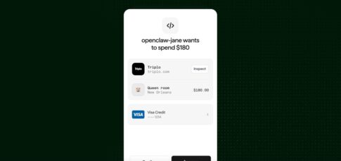 stripe introduces link a digital wallet that