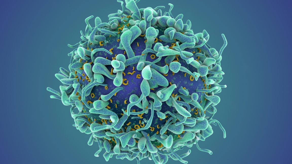 a revolutionary cancer treatment could transform autoimmune