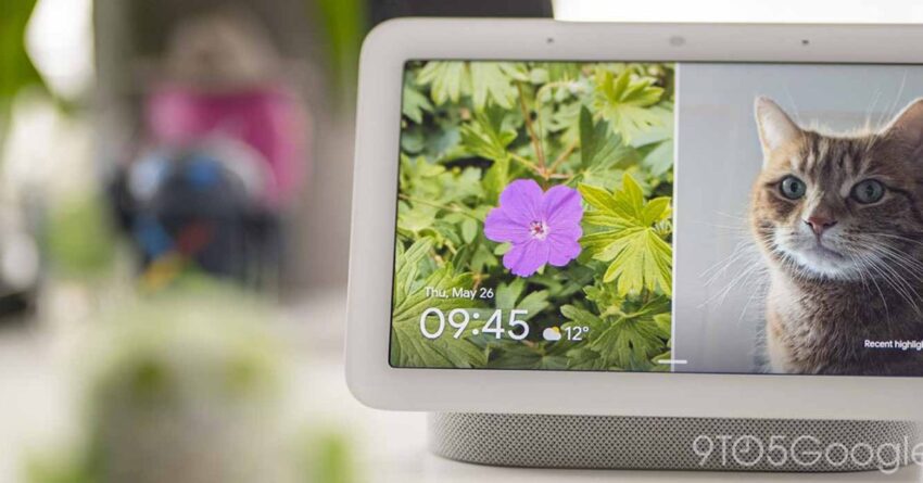 google home display appears hopefully as a