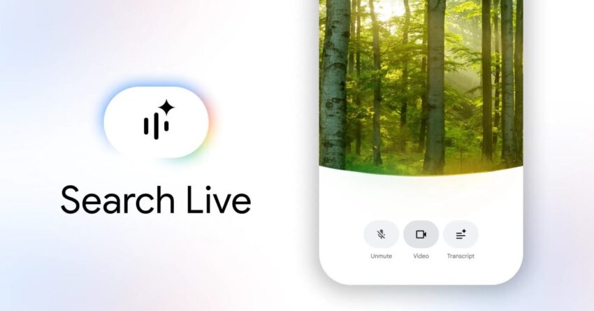 google rolling out a really vibrant search