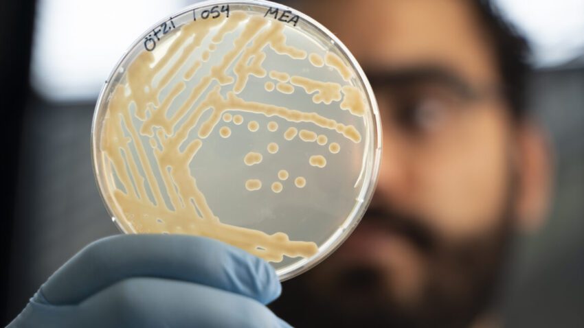 some ancient microbes frozen with tzi the