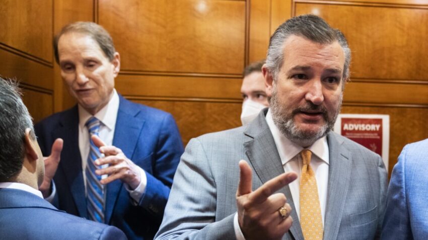 ted cruz and ron wyden try to