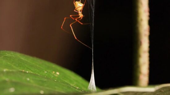 june research roundup 6 cool science stories