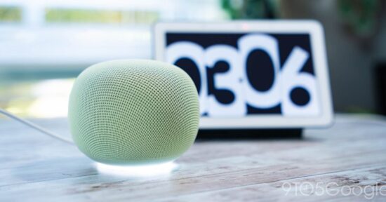 what should a google home display be