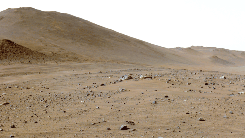a martian rock has lots of carbon