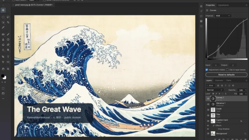 software